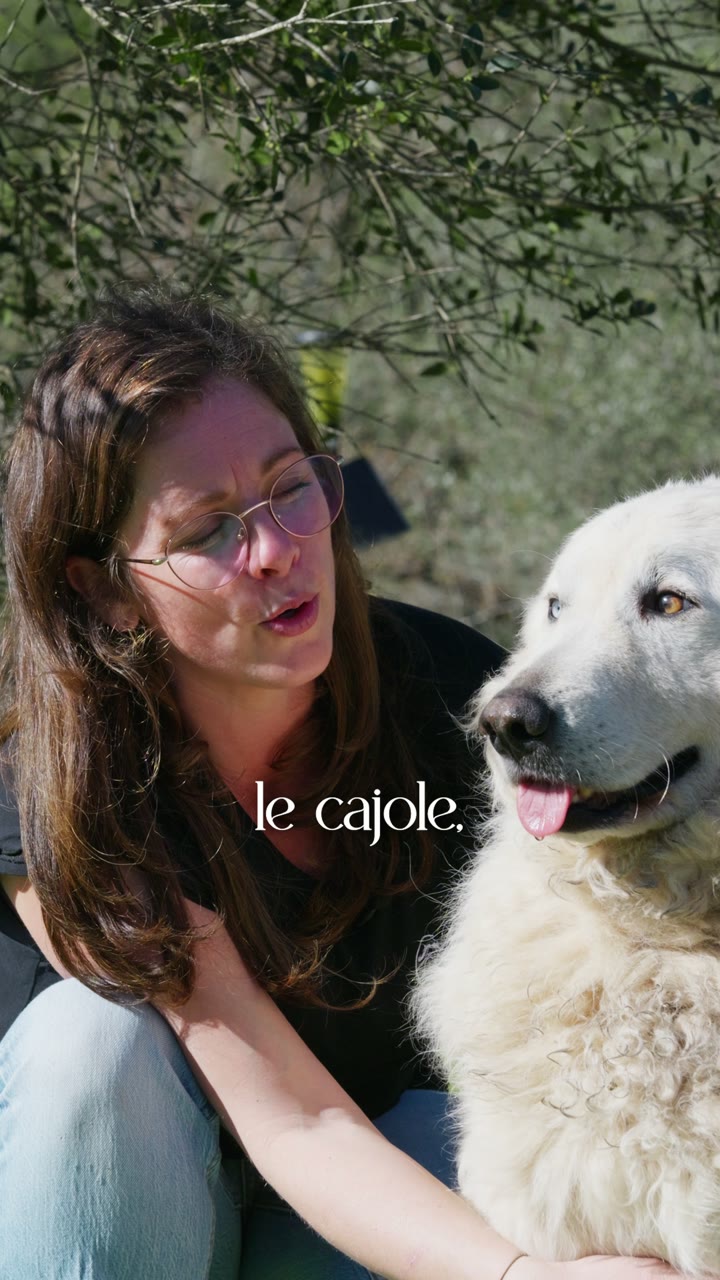 Oreo, le maître des lieux